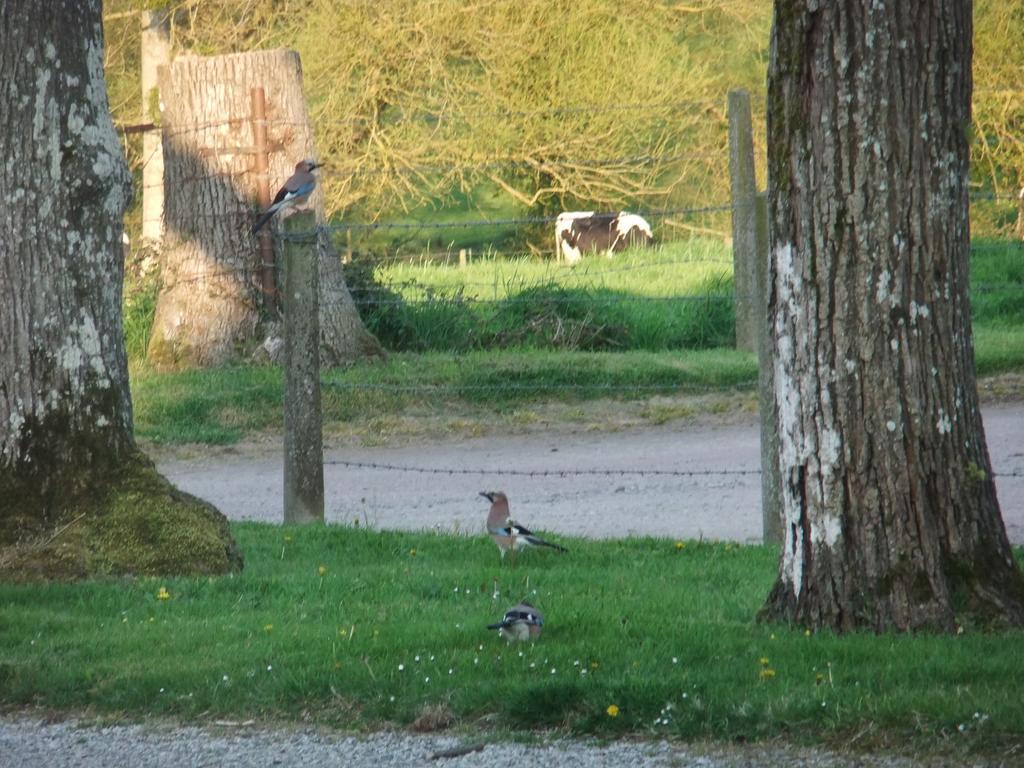 Gites De L'Aumondiere Conde-sur-Noireau ภายนอก รูปภาพ